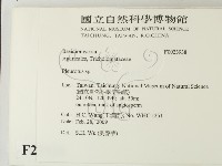 登錄號:F0023938藏品圖，第2張