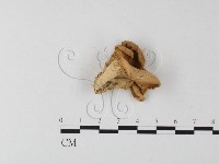 登錄號:F0023939藏品圖，第3張