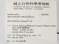 裂褶菌藏品圖，第2張