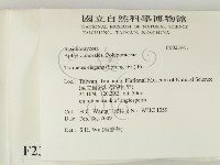 登錄號:F0023941藏品圖，第2張