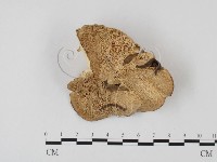 登錄號:F0023941藏品圖，第3張