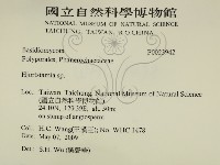 登錄號:F0023942藏品圖，第2張