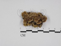登錄號:F0023942藏品圖，第1張