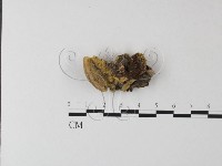 登錄號:F0023942藏品圖，第3張