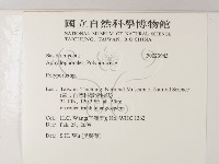 多孔菌屬藏品圖，第2張