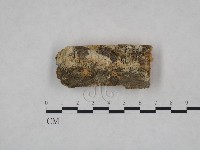 登錄號:F0023945藏品圖，第1張