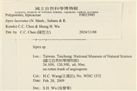 登錄號:F0023945藏品圖，第4張