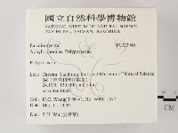 多孔菌屬藏品圖，第2張