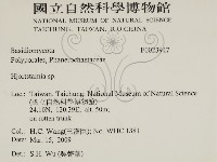 登錄號:F0023947藏品圖，第2張