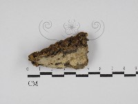 登錄號:F0023947藏品圖，第1張