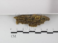 登錄號:F0023947藏品圖，第3張