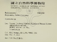 登錄號:F0023949藏品圖，第2張