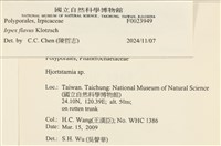 登錄號:F0023949藏品圖，第4張