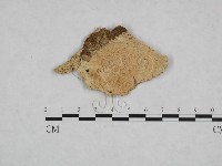 登錄號:F0023950藏品圖，第1張
