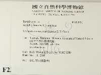 登錄號:F0023951藏品圖，第2張