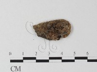 登錄號:F0023951藏品圖，第3張