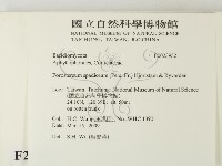 登錄號:F0023952藏品圖，第2張