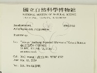 栓菌屬藏品圖，第2張