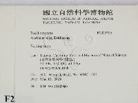 登錄號:F0023955藏品圖，第2張