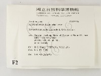 登錄號:F0023956藏品圖，第2張