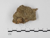 登錄號:F0023956藏品圖，第3張