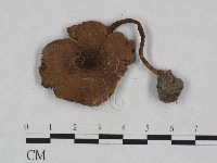 登錄號:F0023957藏品圖，第1張