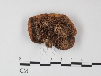 登錄號:F0023958藏品圖，第1張