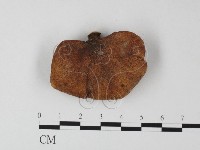 登錄號:F0023958藏品圖，第2張