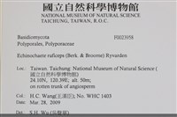 登錄號:F0023958藏品圖，第3張