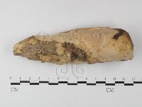 登錄號:F0023960藏品圖，第1張