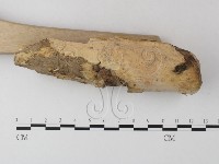 登錄號:F0023960藏品圖，第3張