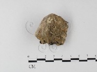 登錄號:F0023961藏品圖，第3張