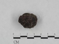 登錄號:F0023962藏品圖，第1張