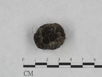 登錄號:F0023962藏品圖，第3張