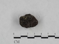 登錄號:F0023962藏品圖，第4張