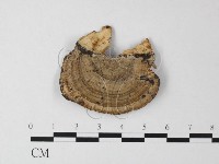 登錄號:F0023964藏品圖，第1張