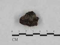 登錄號:F0023965藏品圖，第1張