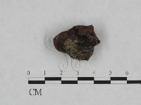 登錄號:F0023965藏品圖，第3張