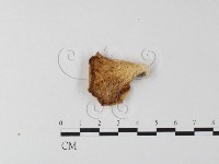 登錄號:F0023967藏品圖，第3張