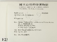 蜂窩菌屬藏品圖，第2張