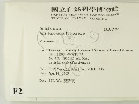 多孔菌屬藏品圖，第2張
