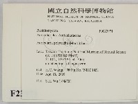 毛木耳藏品圖，第2張