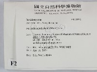 毛木耳藏品圖，第2張