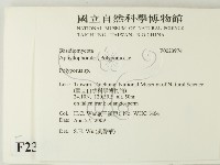 多孔菌屬藏品圖，第2張