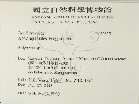 多孔菌屬藏品圖，第2張