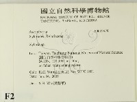 炭角菌屬藏品圖，第2張