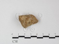 登錄號:F0023980藏品圖，第1張