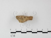 登錄號:F0023980藏品圖，第3張