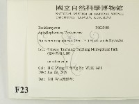 登錄號:F0023981藏品圖，第2張