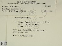 登錄號:F0023983藏品圖，第2張